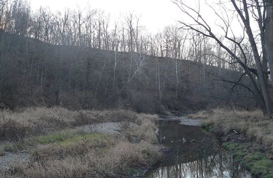 Farm Creek