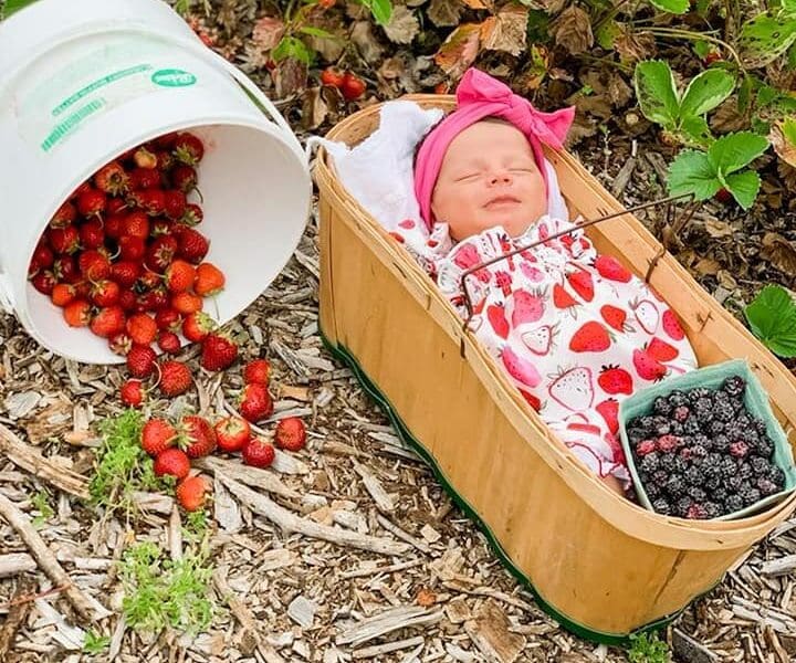 Crooked Row Farm Illinois