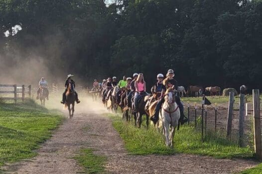Blazin A Horseback Riding And Boarding