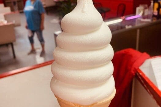 Twistee Treat