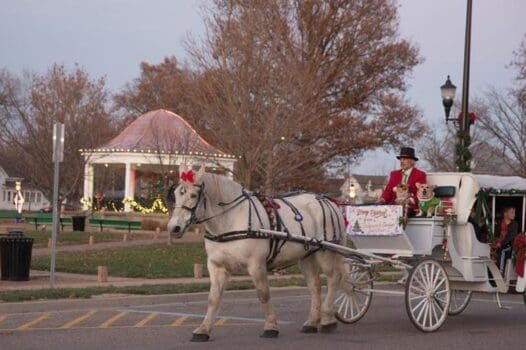Winter Fun in Greater Peoria