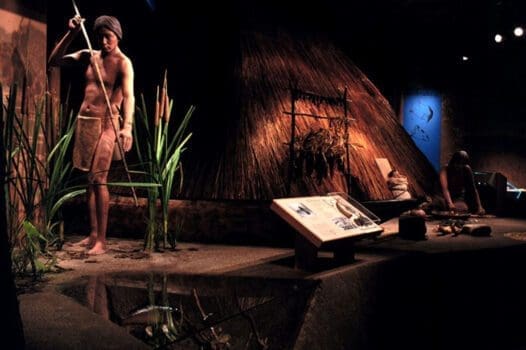 Dickson Mounds Museum
