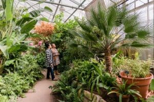 10 Things To Do in the Peoria Area for First-Time Visitors