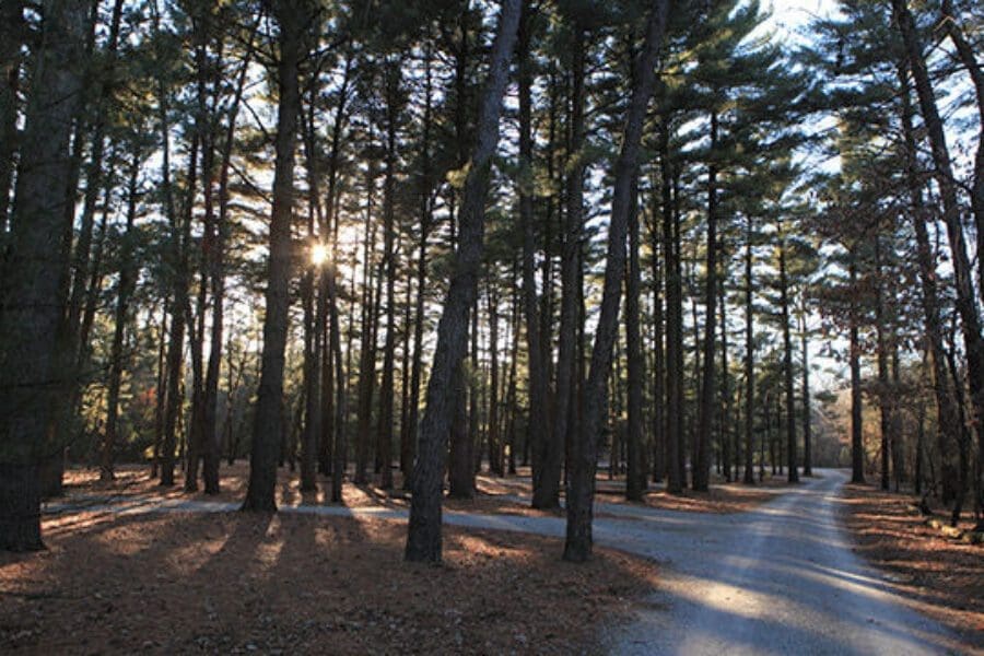 Sand Ridge State Forest