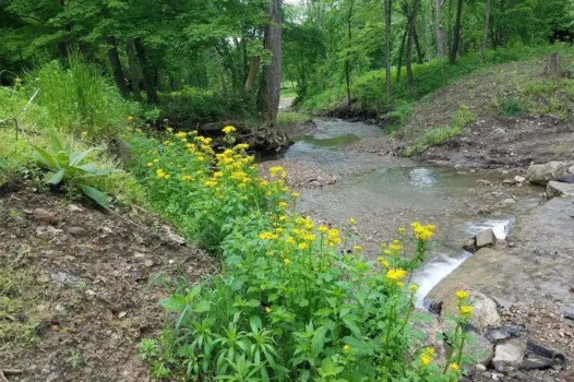 Coal Hollow Park