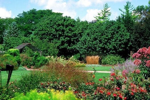 Luthy Botanical Garden