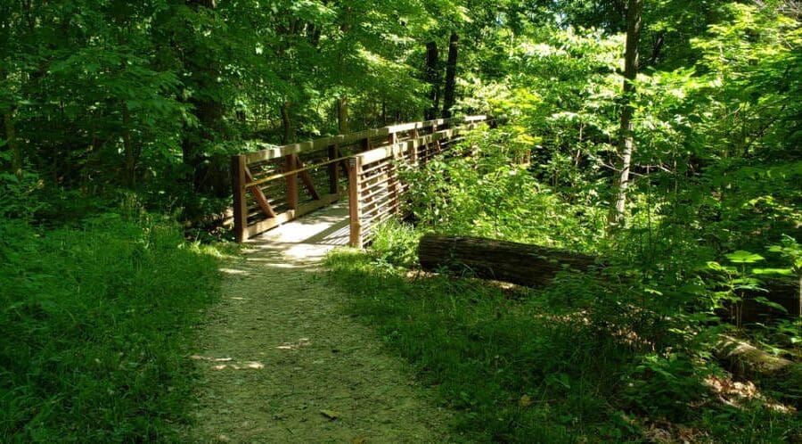 Illinois River Bluff Trail