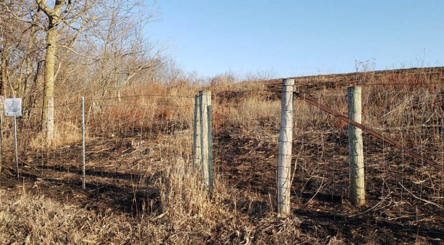 Manito Prairie Nature Preserve