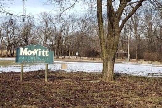 Moffitt Nature Park