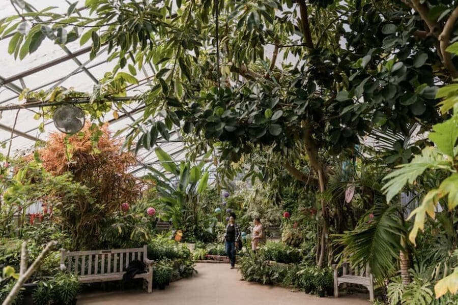 Luthy Botanical Garden