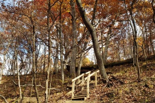 Rocky Glen Park
