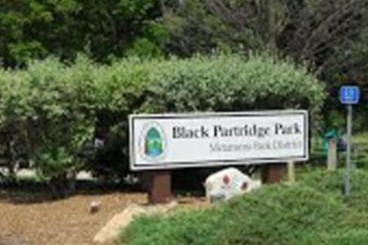 Black Partridge Park
