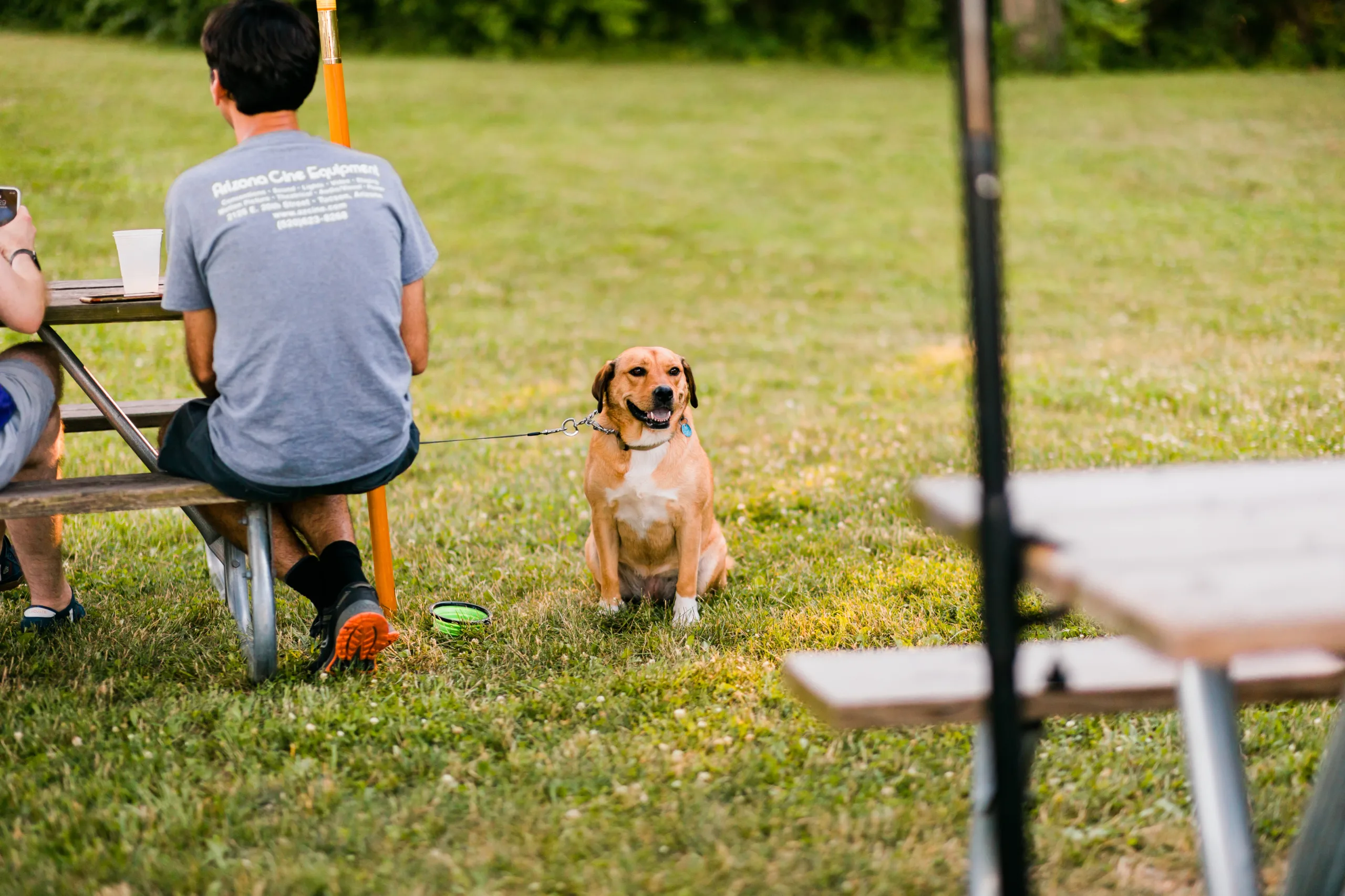 11 Peoria Area Dog Parks - Discover Peoria, IL