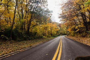 Fall Foliage in Greater Peoria