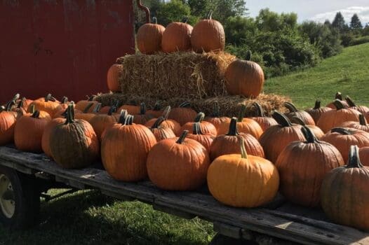 Orchard Hill Farm