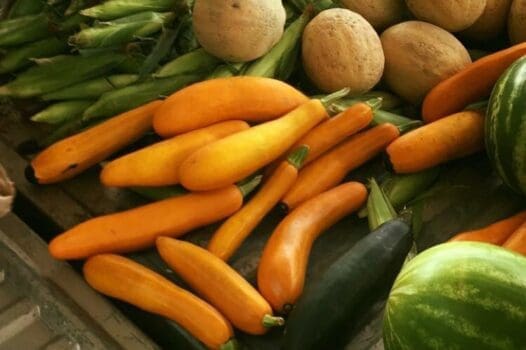 Havana's Farmers' Market