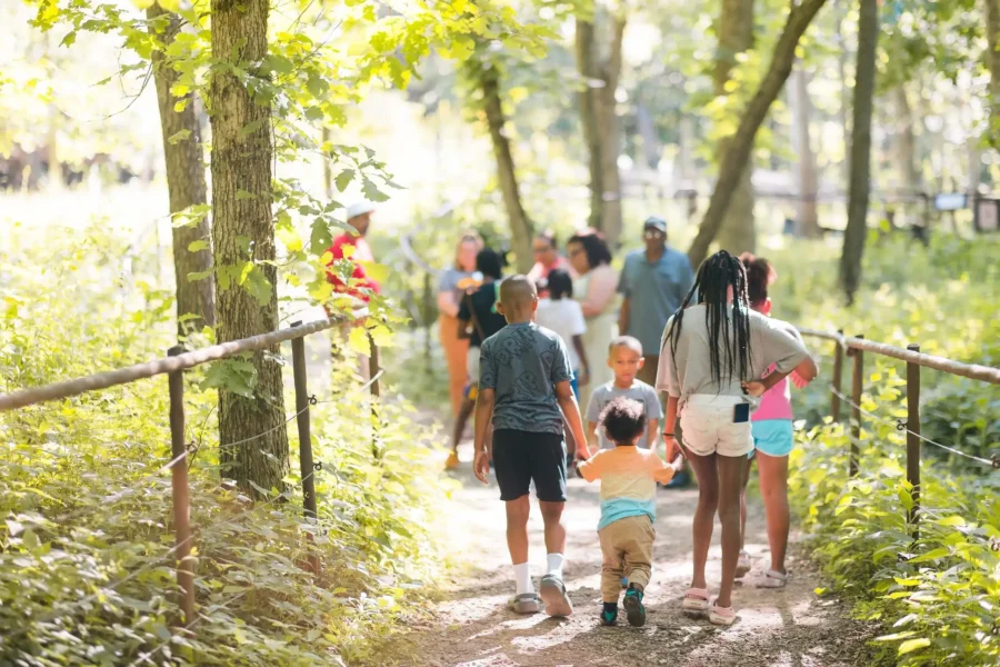 18 Things to Do This Spring