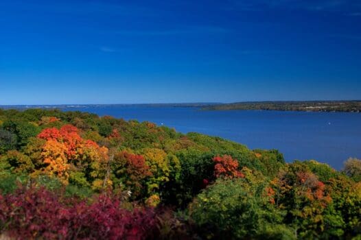 Grandview Drive and Park