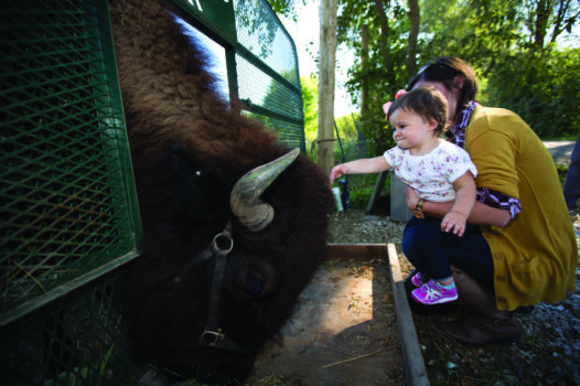 Wildlife Prairie Park