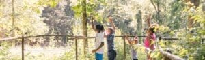 10 Wild Adventures