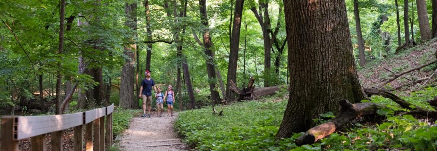 Get Outside Illinois River Bluff Trail