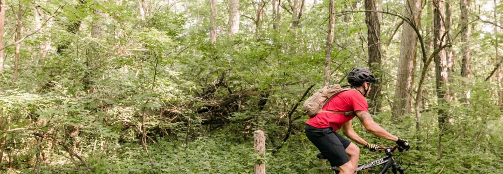 Peoria’s Bicycle History