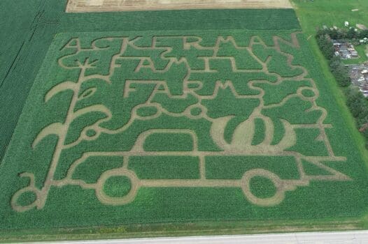 Ackerman Family Farms, LLC
