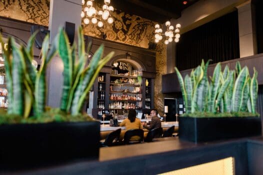 7 Must-try lunch spots
