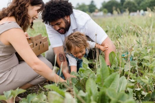 AUTHENTIC FARM ADVENTURES