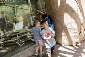 Things To Do With Kids