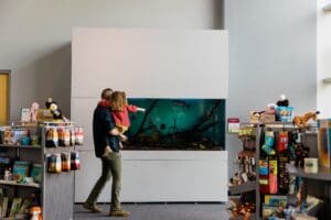 21 Excellent Museums in Greater Peoria