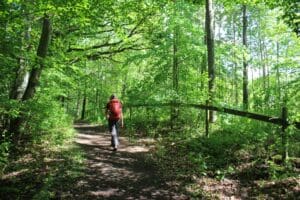 31 Unexpected Adventures
