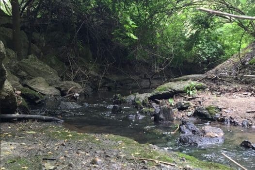 Pekin Park Trail
