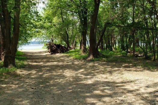 Cooper Park North