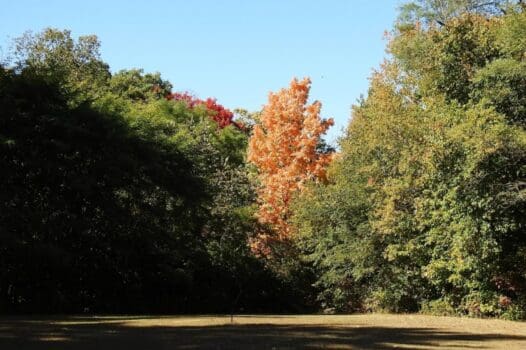 Northwood Park