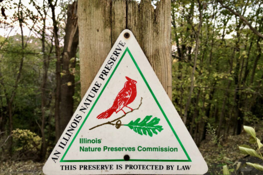 Pimiteoui Trail