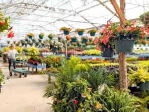 Florists + Nurseries in Greater Peoria