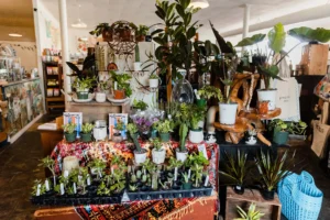 Women-owned in Greater Peoria // Part 2