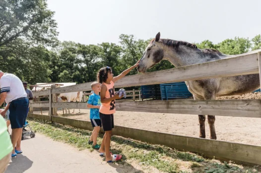 Fon du Lac Farm Park