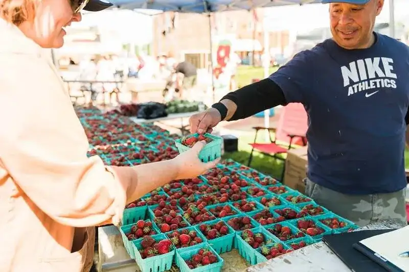 Elmwood Strawberry Festival Discover Peoria, IL