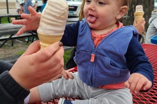 Double D's Ice Creme