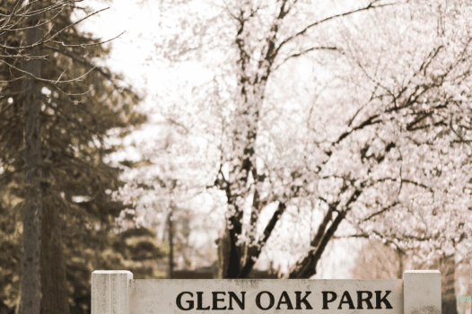 Glen Oak Park