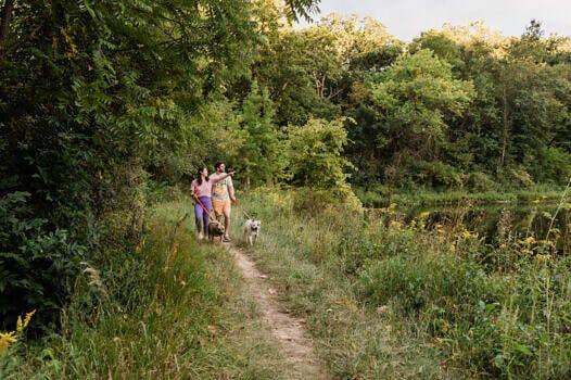 Visitor Guide Request