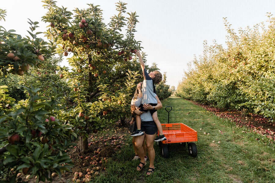 Christ Orchard