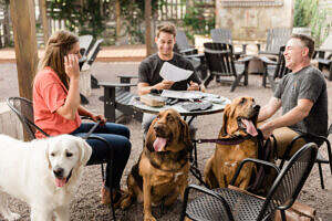 Dog-Friendly Weekend Getaway