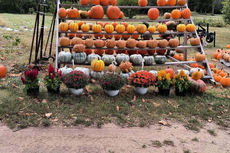 Crooked Row Farm Illinois