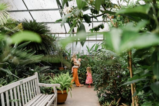 15 Activities for $15 or less