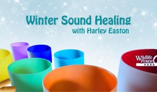 Winter Sound Healing