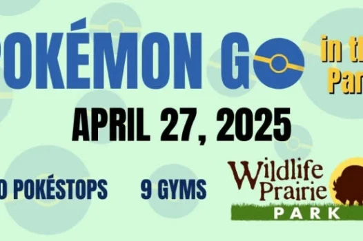 Pokemon go in the park