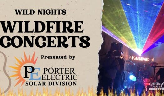 Wildfire Concerts: Kasino
